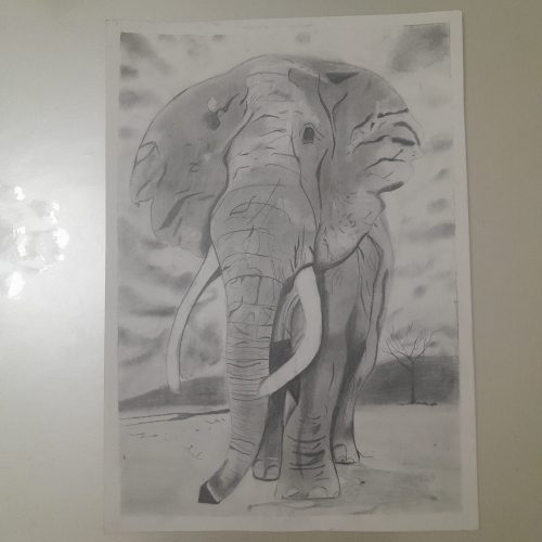 نقاشی های کار دست 🎨🎨