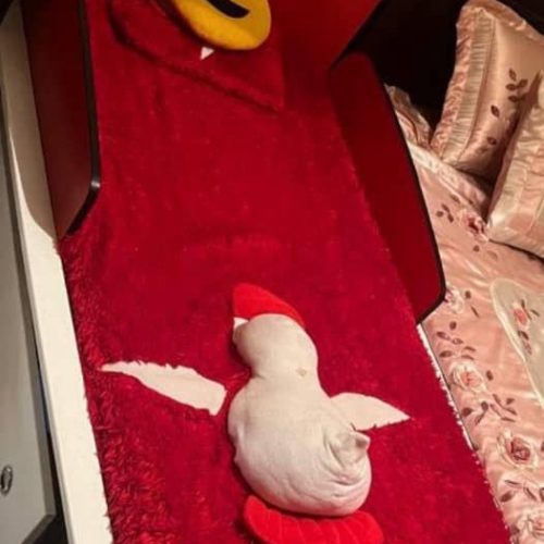 سرویس خواب نوجوان با تشک رو تختی سطل و ساعت تمیز در حد نو،فرش تمیز بدون سوختگی و پارگی،میز تی وی،اباژور سقفی جاروشارژی،پرده