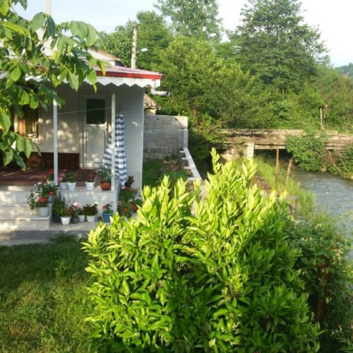 اجاره ویلا وکلبه واستخر مجد دارم