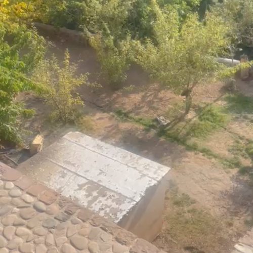 زمین باغی500متری،30متربر خیابان اصلی فشم.سندتک برگ