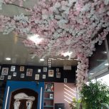صندوق دار و ویتر