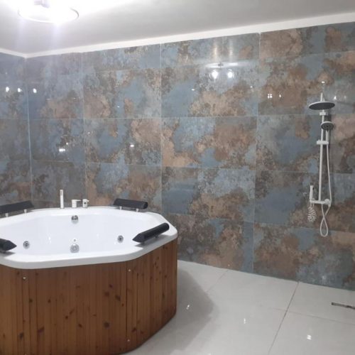 ملک در دست اقدام ماده 100