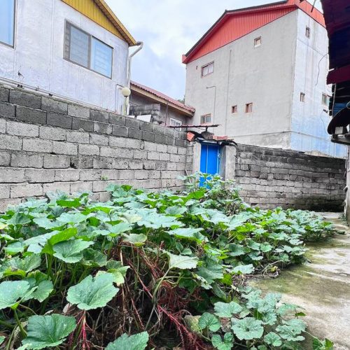 فروش منزل در روستا🌱🏡