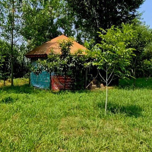 خانه ویلایی دنج و آرام در یک فضای زیبا
