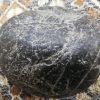 شهاب سنگ کره ماه