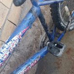 دوچرخه24 درحد نو