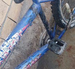 دوچرخه24 درحد نو