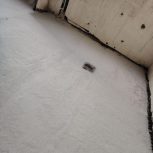 اجرای تخصصی فوم بتن و کفسازی سبک ساختمان
