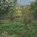 فروش زمین مسکونی ماسال