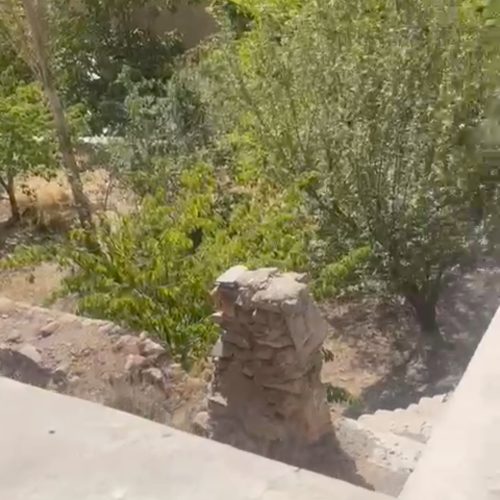 زمین باغی500متری،30متربر خیابان اصلی فشم.سندتک برگ