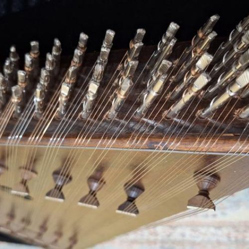 سنتور سالاری 2 مهره