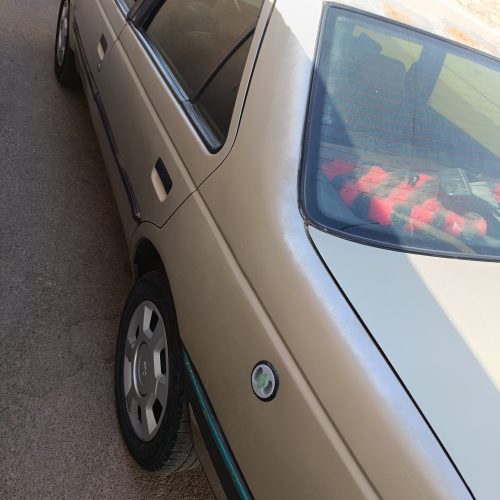 پژو 405 دوگانه