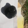 شهاب سنگ کره ماه