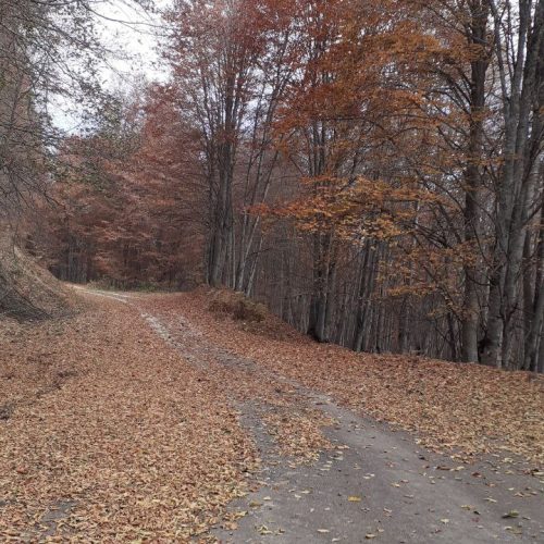 سوادکوه روستای کارمزد