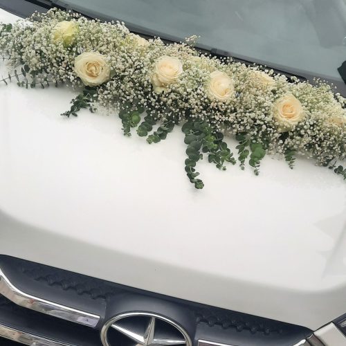 جک شاسی سفید صفر برای مراسم جشن عقد و عروسی و تولد …