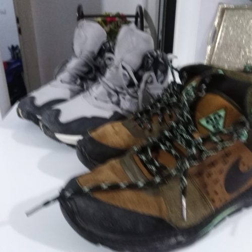 کفش کوهنوردی