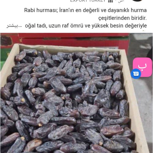 بهرین و عالیترین کیفیت خرمای مضافتی و ربی