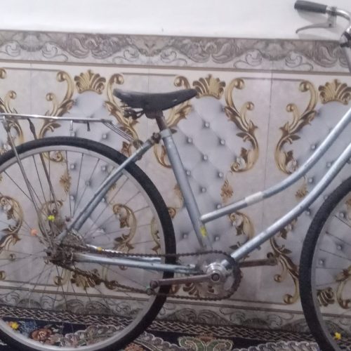 دوچرخه دخترونه بدون دینم