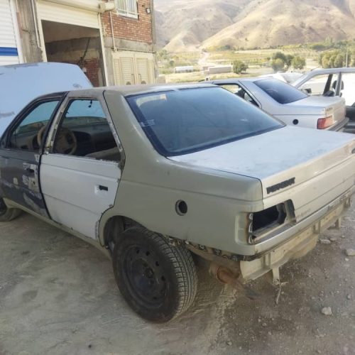 پژو 405 نقره ای دوگانه