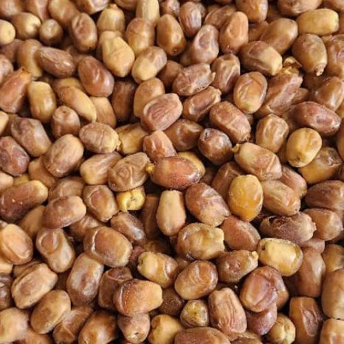 فروش خرمایی زاهدی درجه یک