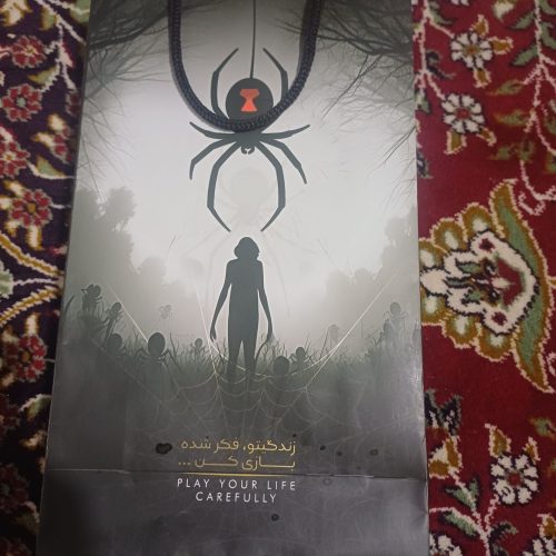 عنکبوت سرگردان