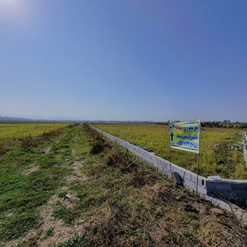 زمین شالیزاری