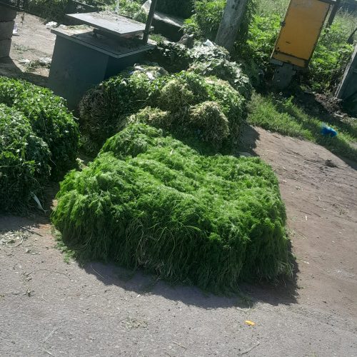 سبزی خورشتی کلی