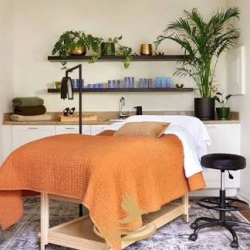 همکار فیشالیست