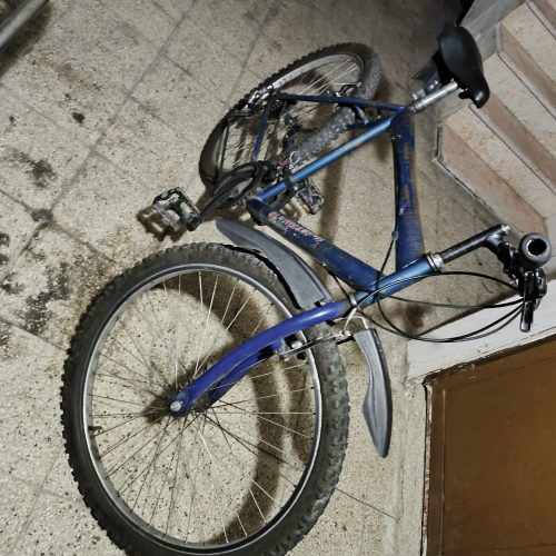 دوچرخه دنده یی