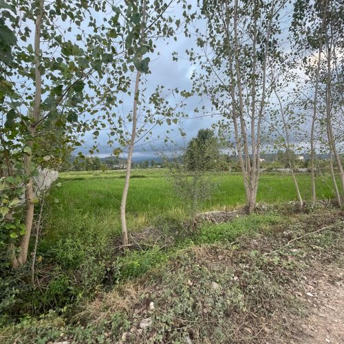 فروش زمین1500متری