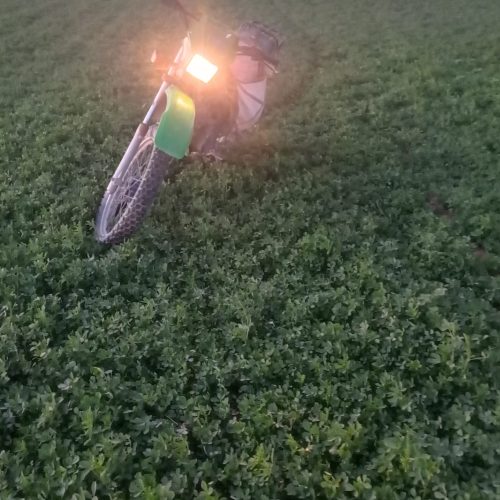 سلام موتورتریل 150