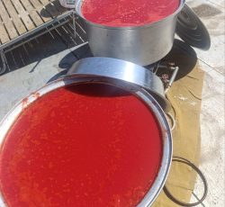 رب درجه یک سفت وخوش نگاه