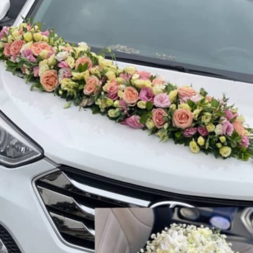 جک شاسی سفید صفر برای مراسم جشن عقد و عروسی و تولد …