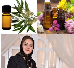 آموزش رایگان و کسب و کار آنلاین برای بانوان جویای کار