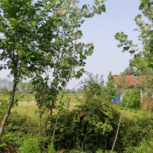 زمین مسکونی  قیمت مناسب