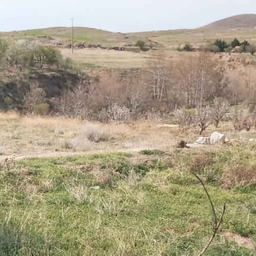 زمین باغی سند معتبر