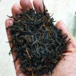 چای لاهیجان