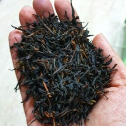 چای لاهیجان