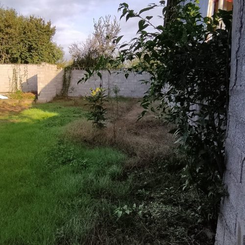 فروش زمین 228 متری رشت