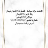 کاشت مژه موقت هیدن