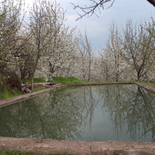 فروش خانه و باغ