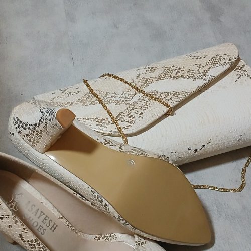 کیف و کفش مجلسی