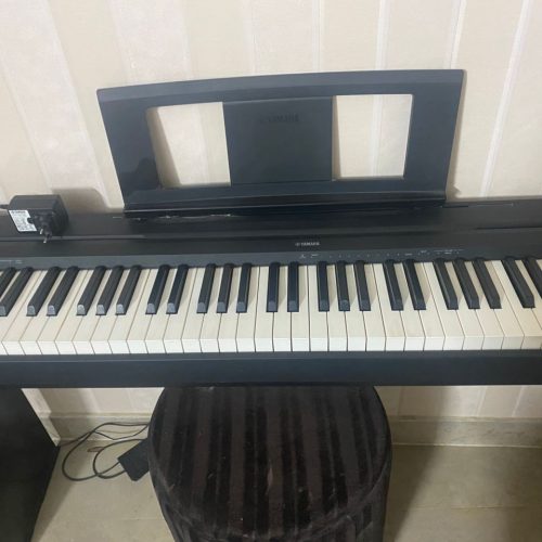 پیانو ارزش استفادہ نکردم بدلیل مھاجرے