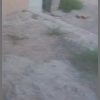 خانه اجاره