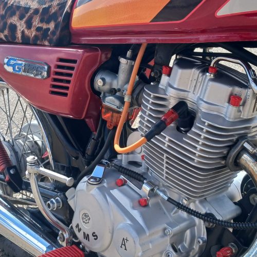 متور150فابریک پلمپ