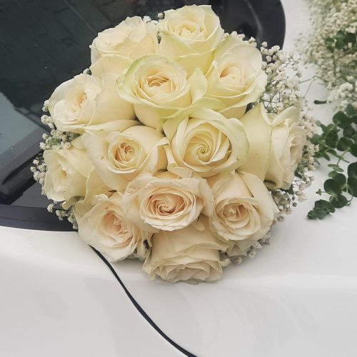 جک شاسی سفید صفر برای مراسم جشن عقد و عروسی و تولد …