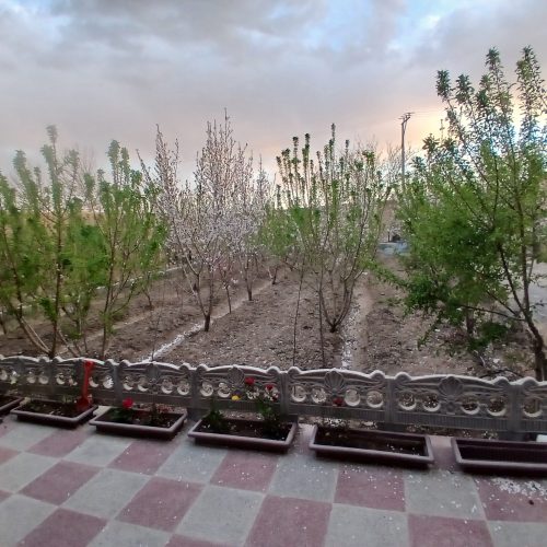 فروش باغ