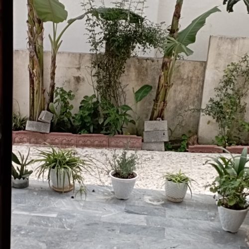 اجاره کوتاه مدت ویلا و باغ