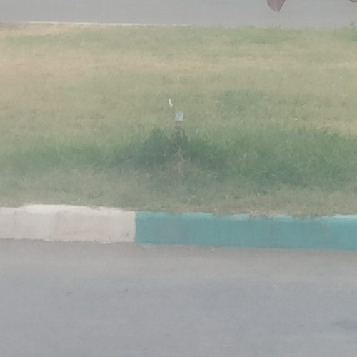 خانه‌باغ879متراکرمیه