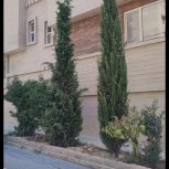 رهن و اجاره آپارتمان یک‌خوابه در مجتمع برند نخل